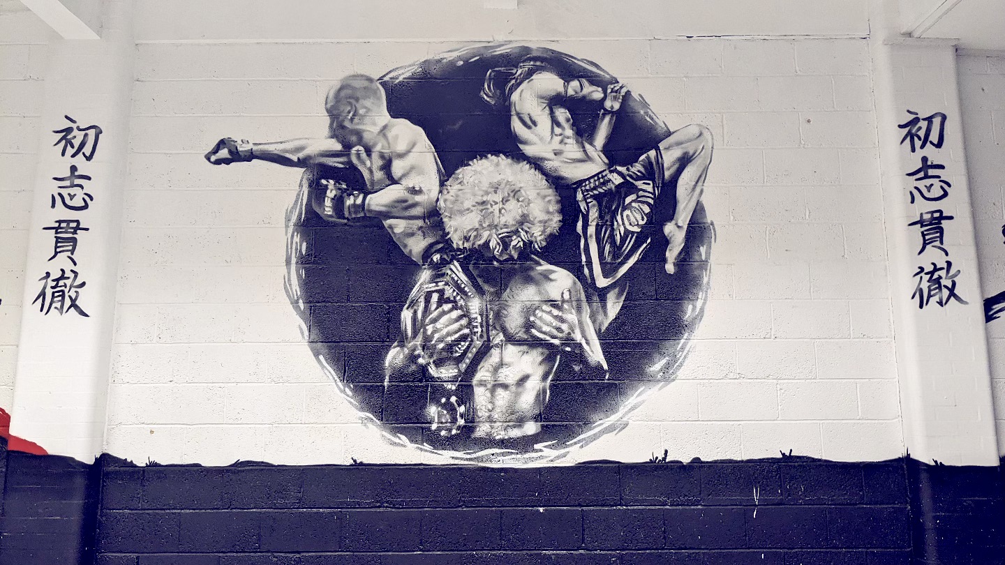 wingy graffiti mural mma gym